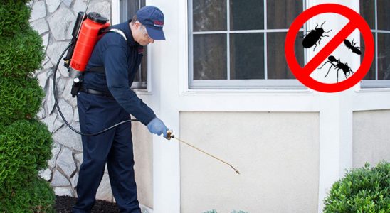 Karabağlar Kemirgen İlaçlama böcek ilaçlama ve haşere kontrolü — ilaclama-tr.com